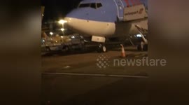 Newsflare Edit - Thomson