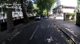 Fallen Tree Morning After Storm Aileen [N727]