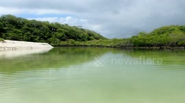 Calm lagoon Galapagos Islands