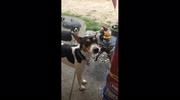 temp