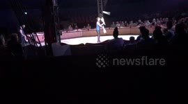 Excellent Circus tricks