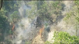 Protected Forest On Fire