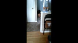 Pitbull Dog Welcomes Home Canadian Soldier