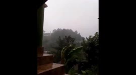 Hurricane Maria approached Dominica as a Category 5, and started to topple trees!!!
