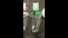 Huge rat wanders London overground station