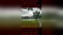 Newsflare Edit - We RESCUED a squirrel from Hurricane Irma's wrath!!!
