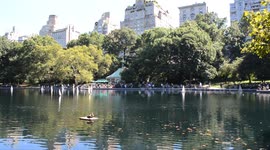Central Park 2