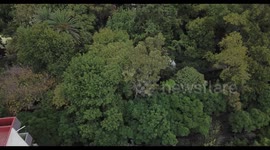 People gathering food, water and medicine in Parque Mexico after the Earthquake