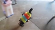 temp