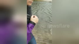Newsflare Edit - Good samaritans rescue squirrel after Hurricane Irma