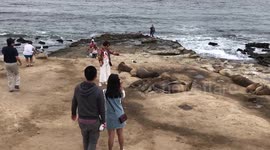 Sea lion scares woman in California