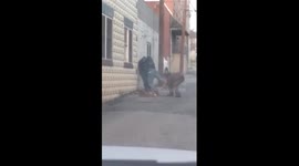 Fight in Columbia PA