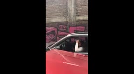 woman arrested after a car chase