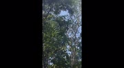 temp