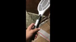 The Homemade Fly Zapper Taser Prank 