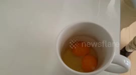 Lucky day! 6 double yolks in a row.