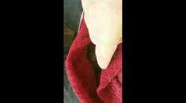 Update on Rocky from Hurricane Irma