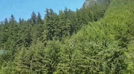 Mesmerizing views: Gandola ride to Grouse Mountain