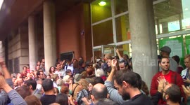 Carnations symbolized by peace