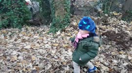 My lil man loves Autumn, he loves kicking the leaves, he is re-enacting a scene from the movie RED 