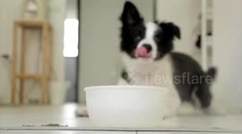 first time flying #jetblue #pilot #announcement