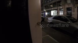 Huge Spider that was seen in Wardour Street
