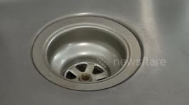 Quick Tips: Cleaning Kitchen Drains | One Pot Chef