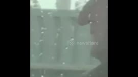 This Guy’s Nose Is HUGE ! 