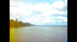 Brazil. Brasil. Río Amazonas river. Macapá to Santarem. Hammock jungle. Jungla de Hamacas (Largo). 2014 (1)