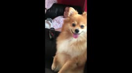 Every Time I Eat Anything , Ever 