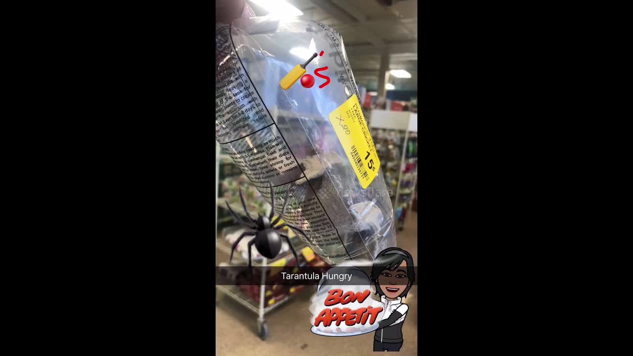 text
