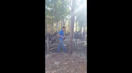 Ostrich slips in its poop