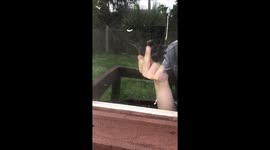 Tag A Mate , To Flip The Bird To lol 