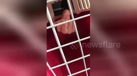 Newsflare Edit - Tag A Mate , To Flip The Bird To lol 