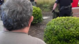 Before the Alligator Capture 2