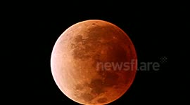 Slooh Lunar Eclipse December 10, 2011 with Star HIP 23784