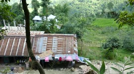 Large spider in it's web, Phidim, Eastern Nepal