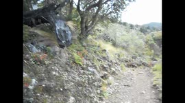 Costa Rica. Cerro Chirripó 3.825m. Hummingbird and landscape. Toma 2. Video con colibrí y paisaje. 2014