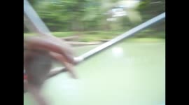 Costa Rica. Tortuguero. Arriving with the boat by the river. Llegando en lancha desde Moín. 2014