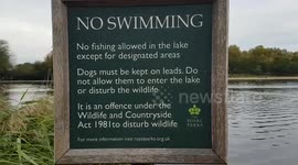 Swimming in Hyde Park