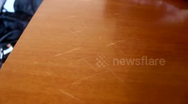 How to Remove Furniture Scratches with a Walnut