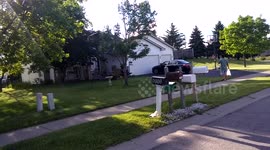 Turkey fight in the neighborhood