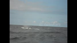 Ecuador. Puerto López. Toma 1. Whales breathing. Ballenas resoplando. 2014