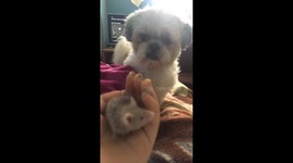 When you find out your not the only child anymore