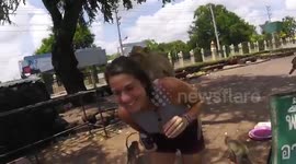 Angry Monkey in Thailand