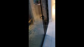 Fox rescue in Ranelagh.  Great start to the day! https://t.co/oVC5hlh2QF