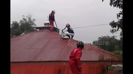 Evacuate wasps and nest by fogging