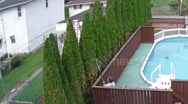 Trimming Arborvitae 2