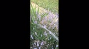temp