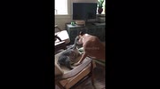 temp